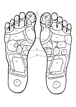 Voet_reflexzones_1_