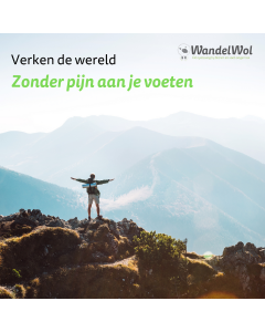 Forex plaat WandelWol 50x50cm