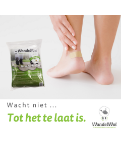 Forex plaat WandelWol blaren 50x50cm